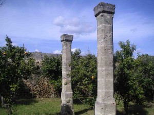 aranceto columns 300x225 1
